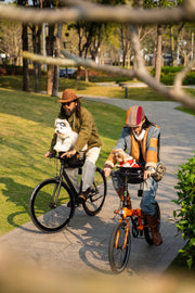 Nextlumi Pet Bike Seat